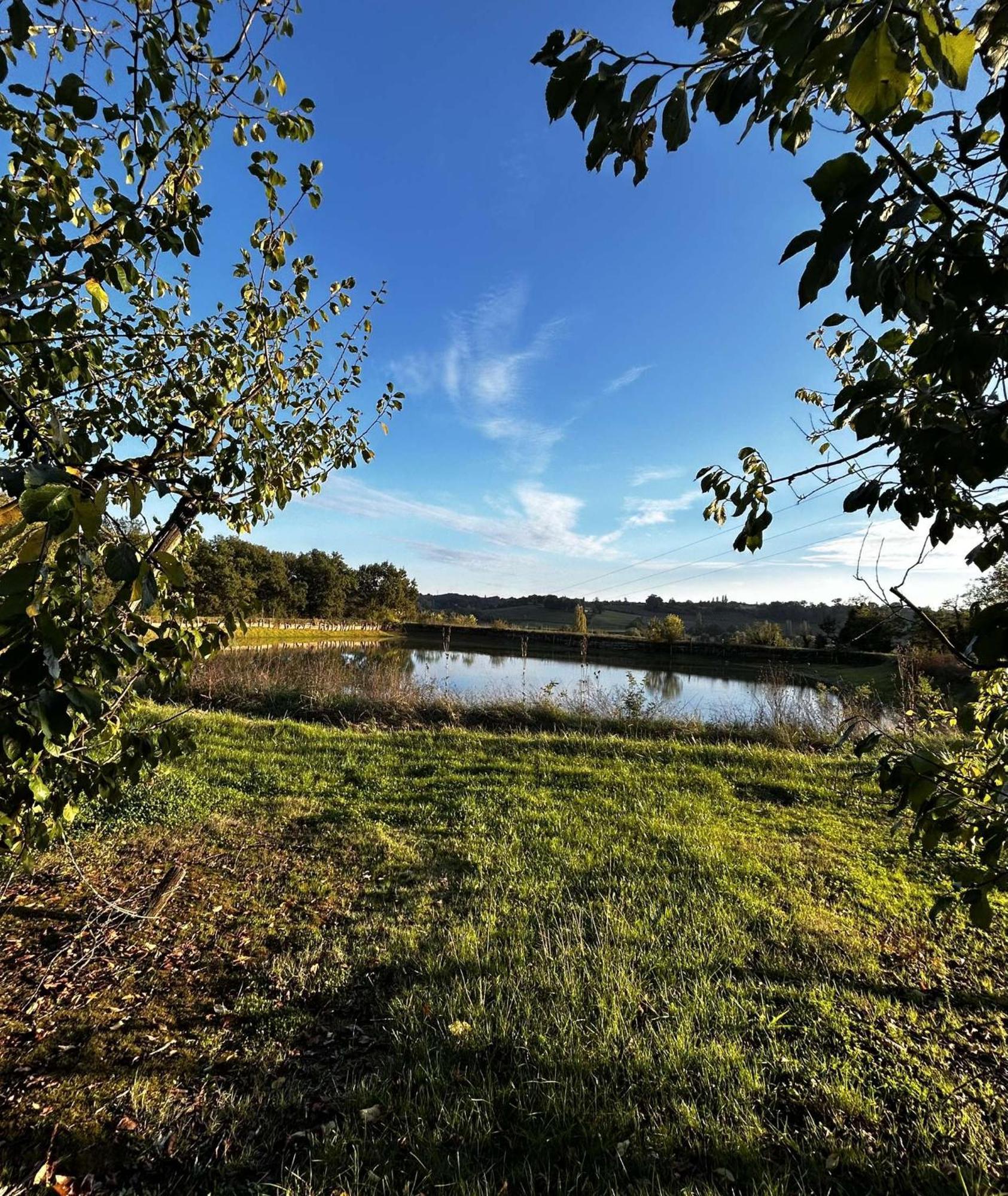 Gite La Garrigue Montbarla Dış mekan fotoğraf